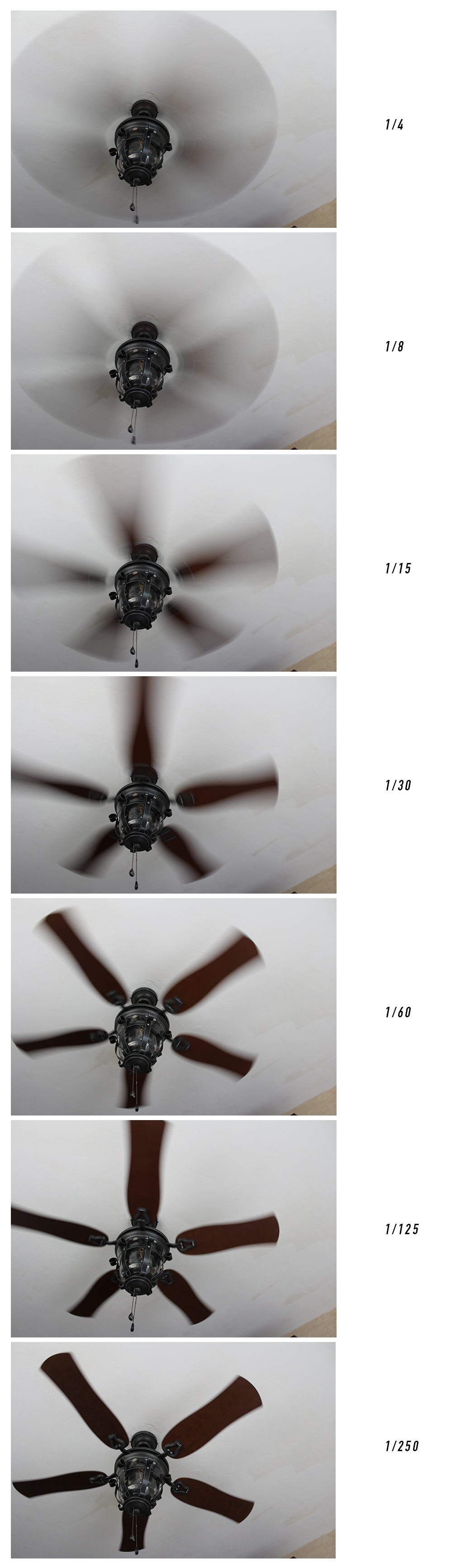 Beginning Photography - Shutter Speed